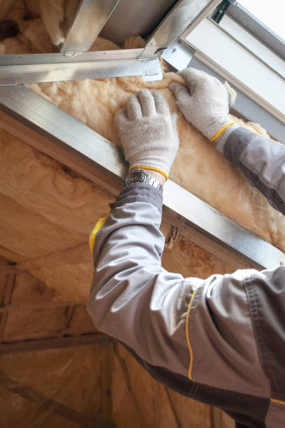 Best Best Insulation Companies  in Hayti, PA