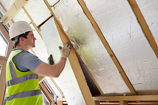 Insulation Inspection Services in Hayti, PA