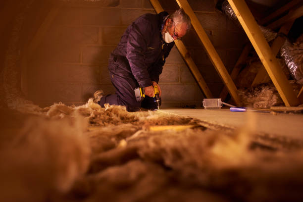 Best Fiberglass Insulation  in Hayti, PA